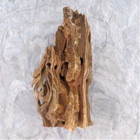 Ant Sculptures, Fairy Gardens, and Ewok Villages Image